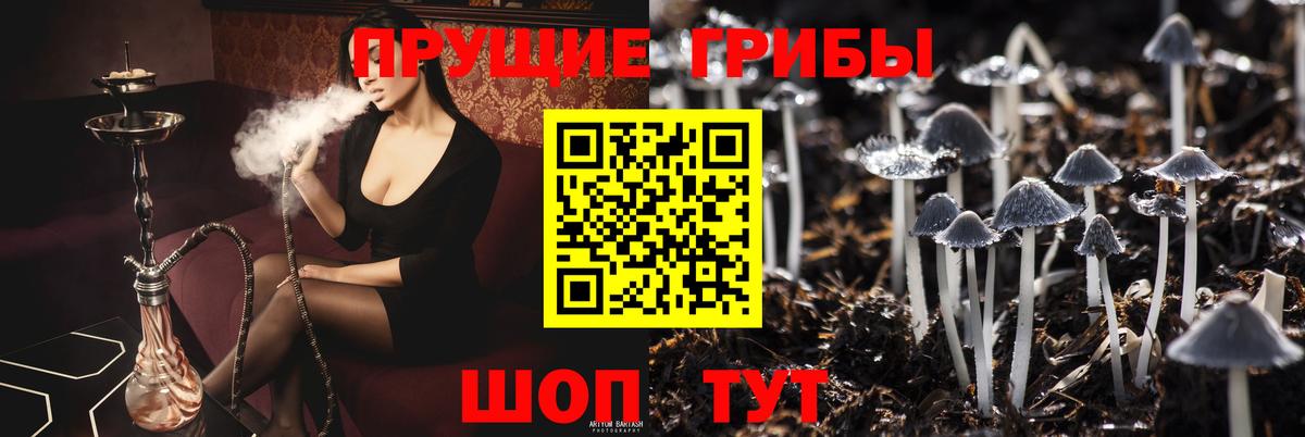 Псилоцибиновые грибы GOLDEN TEACHER  Вход с VPN  Рославль 